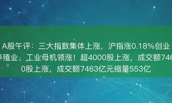 A股午评：三大指数集体上涨，沪指涨0.18%创业板指涨0.36%，养殖业、工业母机领涨！超4000股上涨，成交额7463亿元缩量553亿