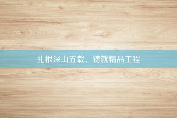 扎根深山五载，铸就精品工程