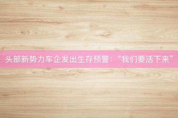 头部新势力车企发出生存预警:“我们要活下来”