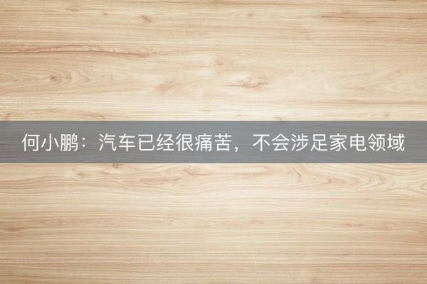 何小鹏：汽车已经很痛苦，不会涉足家电领域