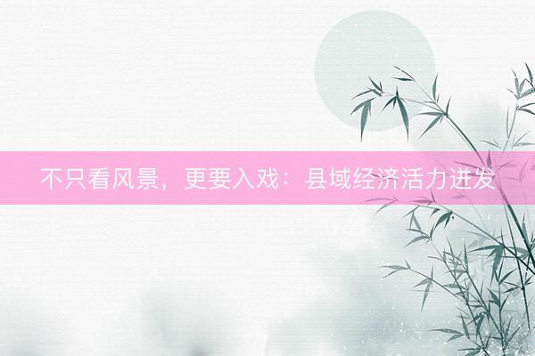 不只看风景，更要入戏：县域经济活力迸发