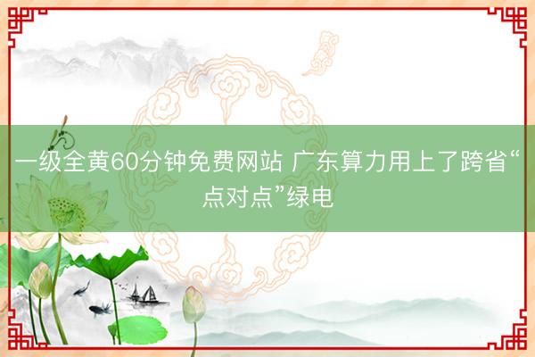 一级全黄60分钟免费网站 广东算力用上了跨省“点对点”绿电