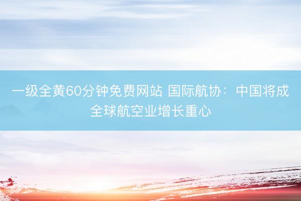 一级全黄60分钟免费网站 国际航协：中国将成全球航空业增长重心