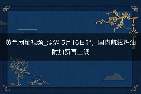 黄色网址视频_涩涩 5月16日起，国内航线燃油附加费再上调
