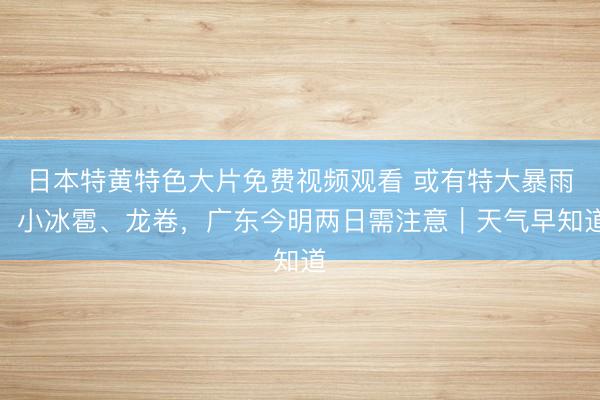 日本特黄特色大片免费视频观看 或有特大暴雨、小冰雹、龙卷，广东今明两日需注意｜天气早知道
