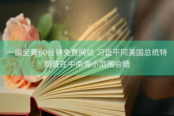 一级全黄60分钟免费网站 习近平同美国总统特朗普在中南海小范围会晤