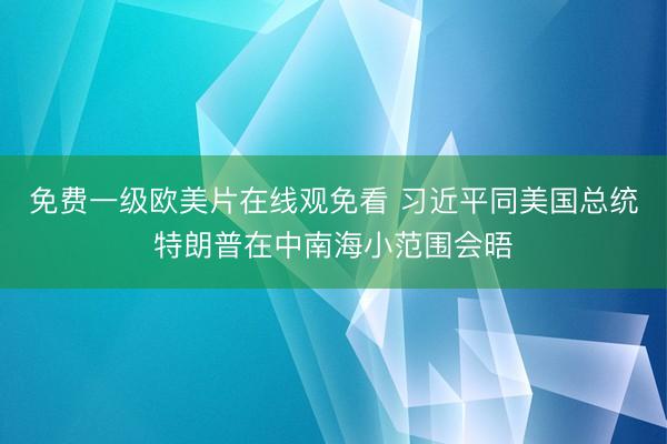免费一级欧美片在线观免看 习近平同美国总统特朗普在中南海小范围会晤