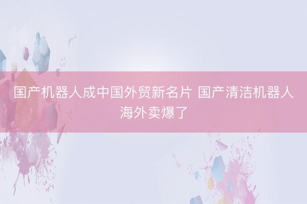 国产机器人成中国外贸新名片 国产清洁机器人海外卖爆了