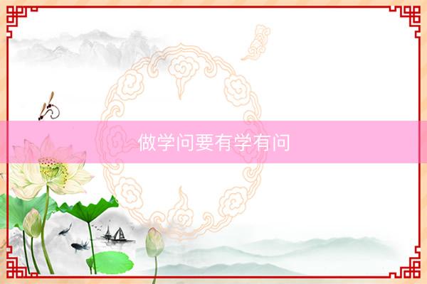 做学问要有学有问