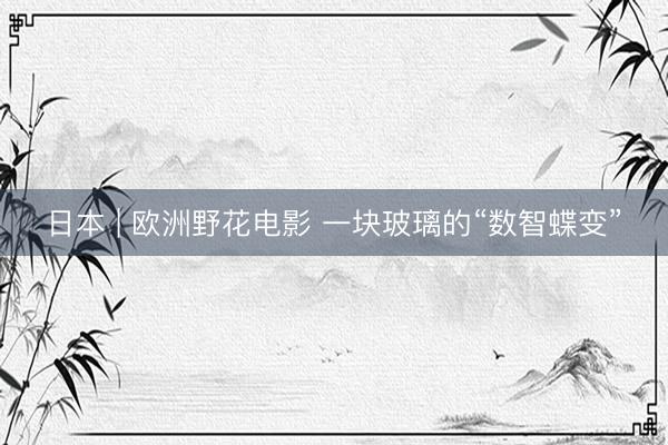 日本 | 欧洲野花电影 一块玻璃的“数智蝶变”