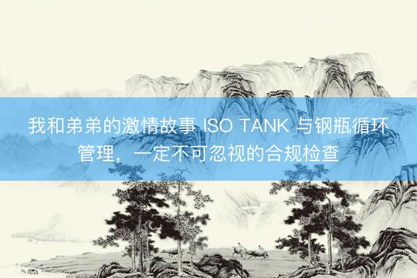 我和弟弟的激情故事 ISO TANK 与钢瓶循环管理，一定不可忽视的合规检查