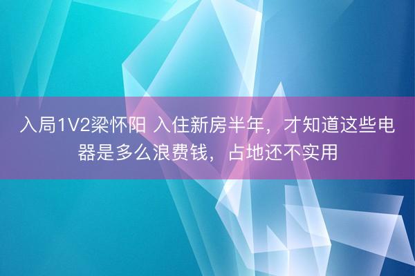 入局1V2梁怀阳 入住新房半年，才知道这些电器是多么浪费钱，占地还不实用
