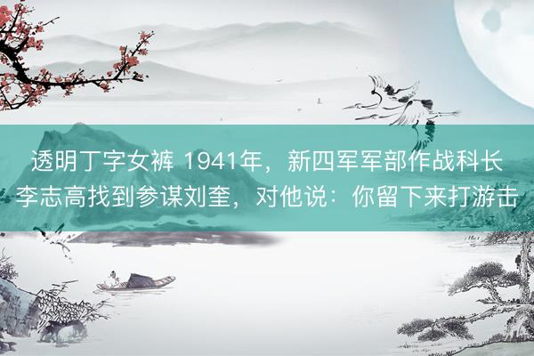 透明丁字女裤 1941年，新四军军部作战科长李志高找到参谋刘奎，对他说：你留下来打游击