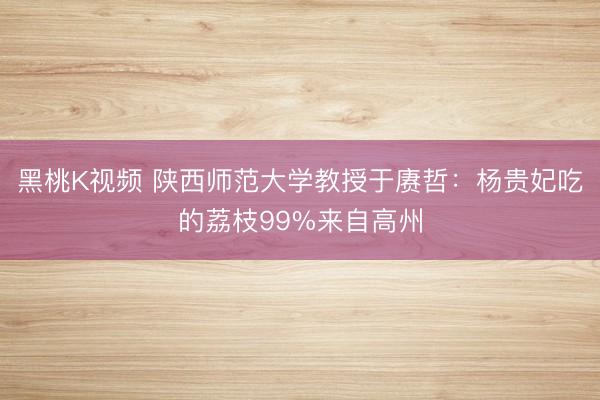 黑桃K视频 陕西师范大学教授于赓哲：杨贵妃吃的荔枝99%来自高州