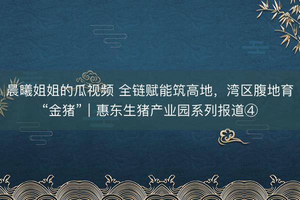 晨曦姐姐的瓜视频 全链赋能筑高地，湾区腹地育“金猪”｜惠东生猪产业园系列报道④