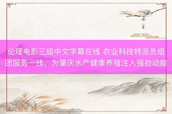 伦理电影三级中文字幕在线 农业科技特派员组团服务一线，为肇庆水产健康养殖注入强劲动能