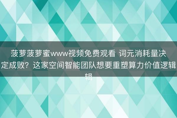 菠萝菠萝蜜www视频免费观看 词元消耗量决定成败？这家空间智能团队想要重塑算力价值逻辑