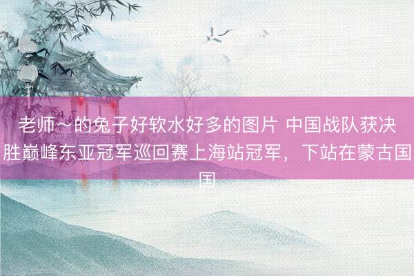 老师～的兔子好软水好多的图片 中国战队获决胜巅峰东亚冠军巡回赛上海站冠军，下站在蒙古国
