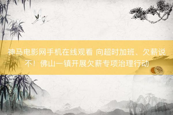 神马电影网手机在线观看 向超时加班、欠薪说不！佛山一镇开展欠薪专项治理行动