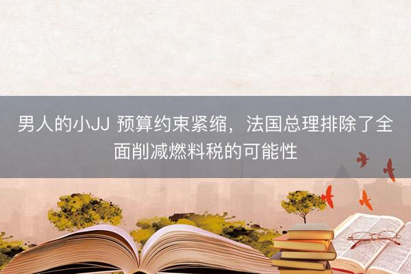男人的小JJ 预算约束紧缩，法国总理排除了全面削减燃料税的可能性