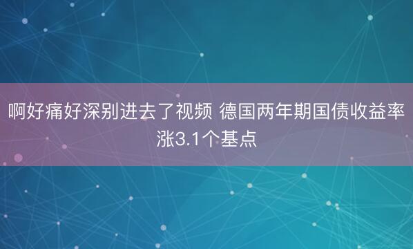 啊好痛好深别进去了视频 德国两年期国债收益率涨3.1个基点