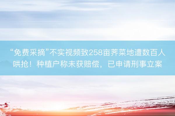 “免费采摘”不实视频致258亩荠菜地遭数百人哄抢！种植户称未获赔偿，已申请刑事立案