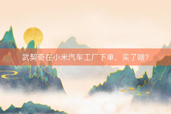 武契奇在小米汽车工厂下单，买了啥？