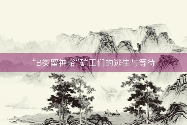 “B类留神峪”矿工们的逃生与等待