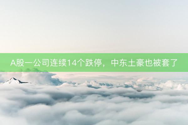A股一公司连续14个跌停，中东土豪也被套了