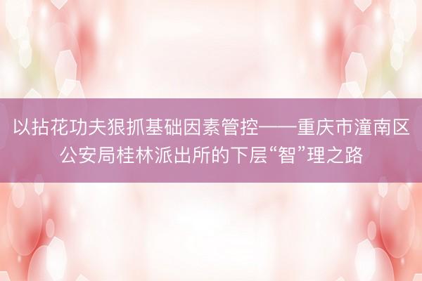 以拈花功夫狠抓基础因素管控——重庆市潼南区公安局桂林派出所的下层“智”理之路