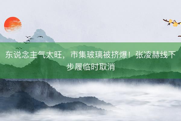 东说念主气太旺，市集玻璃被挤爆！张凌赫线下步履临时取消
