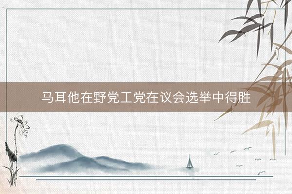马耳他在野党工党在议会选举中得胜