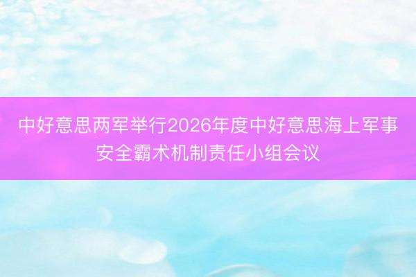 中好意思两军举行2026年度中好意思海上军事安全霸术机制责任小组会议