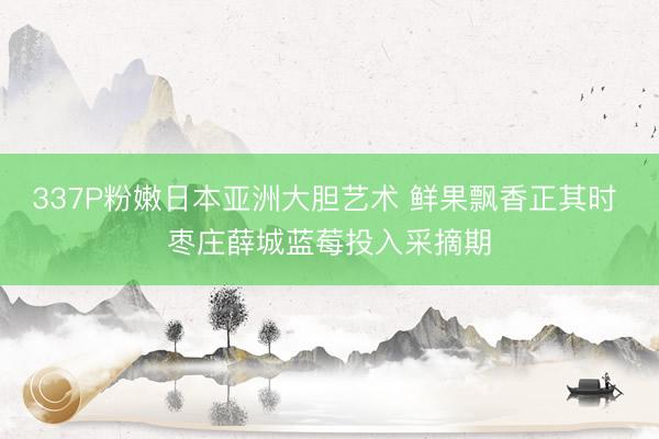 337P粉嫩日本亚洲大胆艺术 鲜果飘香正其时 枣庄薛城蓝莓投入采摘期