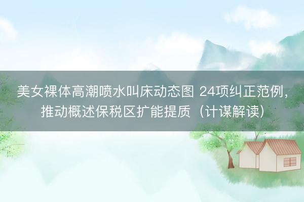 美女裸体高潮喷水叫床动态图 24项纠正范例，推动概述保税区扩能提质（计谋解读）