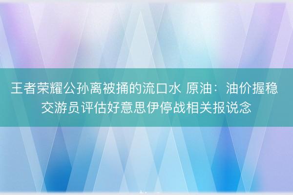 王者荣耀公孙离被捅的流口水 原油:油价握稳 交游员评估好意思伊停战相关报说念