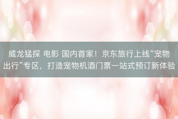 威龙猛探 电影 国内首家！京东旅行上线“宠物出行”专区，打造宠物机酒门票一站式预订新体验