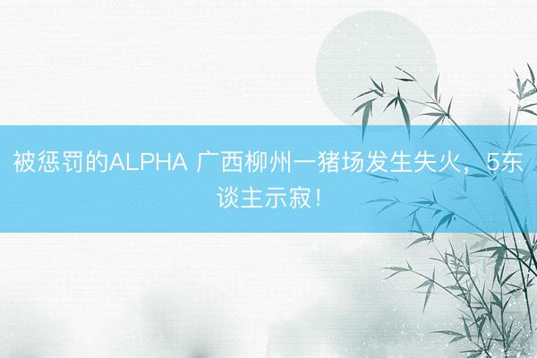 被惩罚的ALPHA 广西柳州一猪场发生失火，5东谈主示寂！