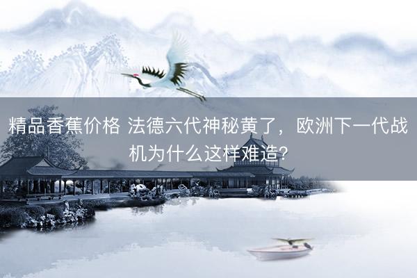 精品香蕉价格 法德六代神秘黄了，欧洲下一代战机为什么这样难造？