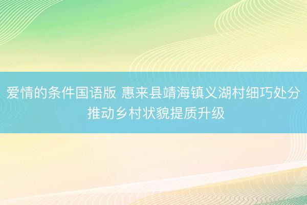 爱情的条件国语版 惠来县靖海镇义湖村细巧处分 推动乡村状貌提质升级