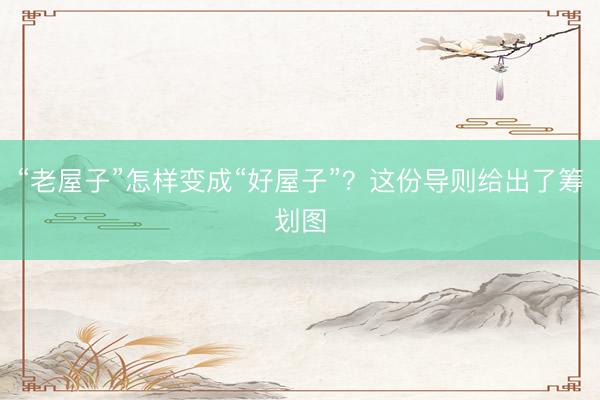 “老屋子”怎样变成“好屋子”？这份导则给出了筹划图