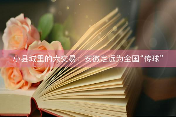 小县城里的大交易：安徽定远为全国“传球”